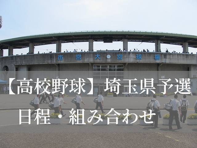 2019高校野球埼玉県予選